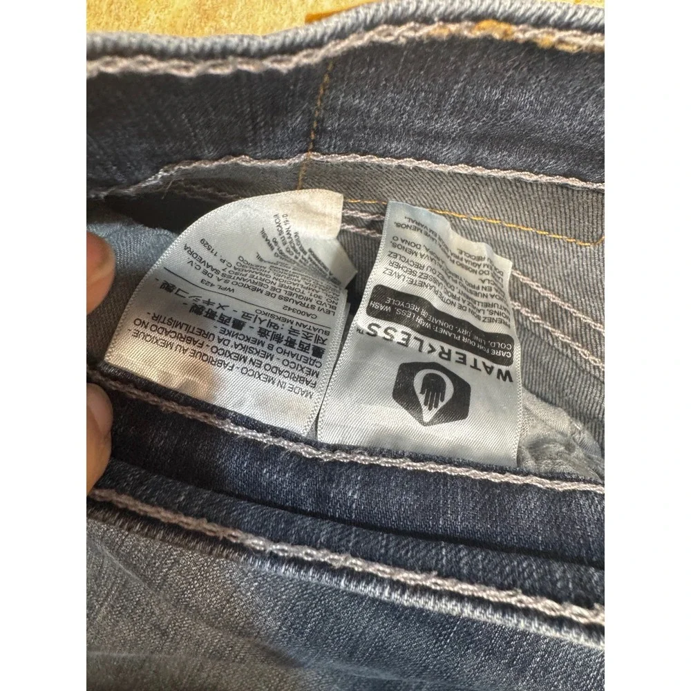 Levis levi strauss